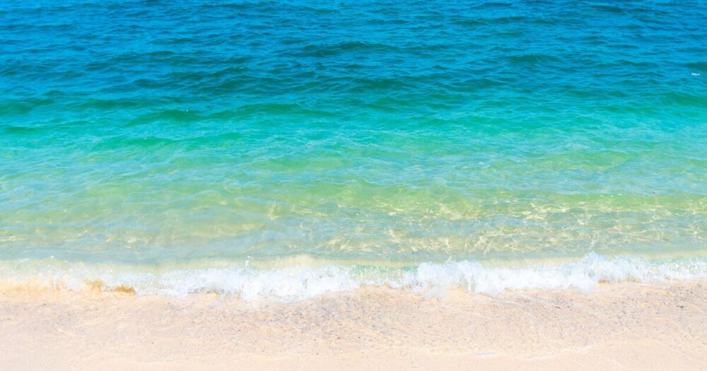 海
